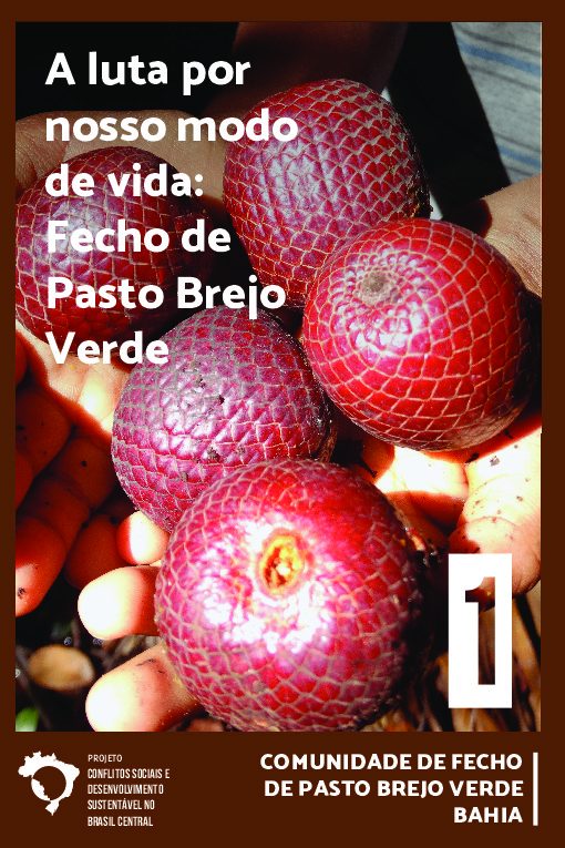 01 – Fecho de Brejo Verde na luta por nosso modo de vida – Comunidade de Fecho de pasto Brejo Verde, Bahia