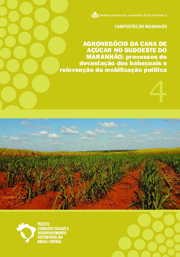 04 – Agronegócio da cana de açúcar no sudeste do Maranhão – Campestre do Maranhão