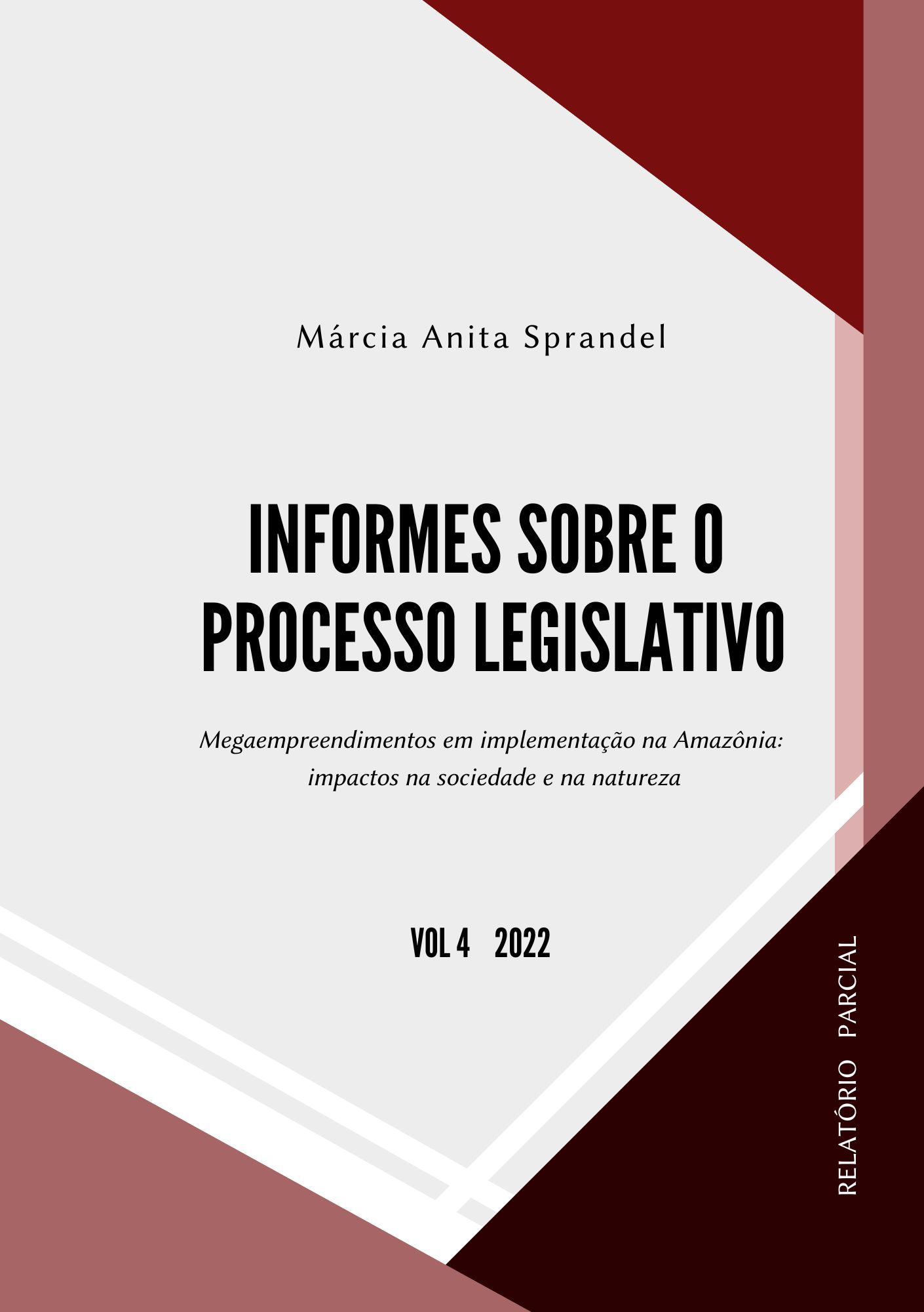 INFORMES SOBRE O PROCESSO LEGISLATIVO – Vol. 04/2022