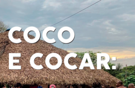 Coco e Cocar: Lutas, resistências e identidades compartilhadas das quebradeiras de coco indígena quebradeira de coco Akroá Gamella em Viana, Maranhão